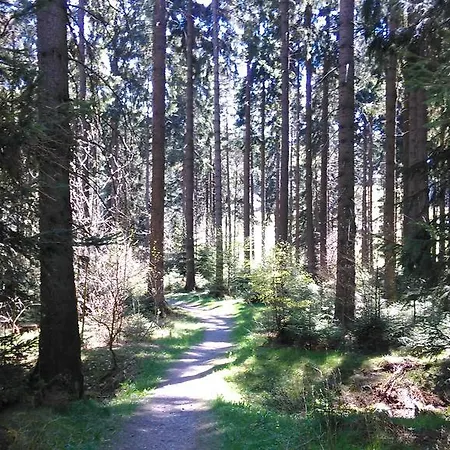 펜션 Haus Am Wilde Aar 메데바흐