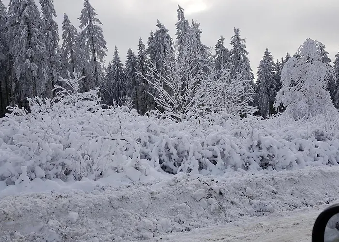 بيت للعطل Haus Am Wilde Aar ميدهباخ