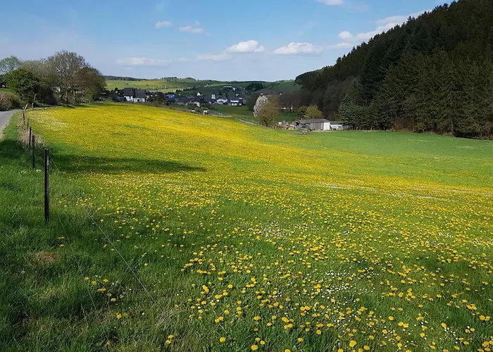 Haus Am Wilde Aar بيت للعطل *