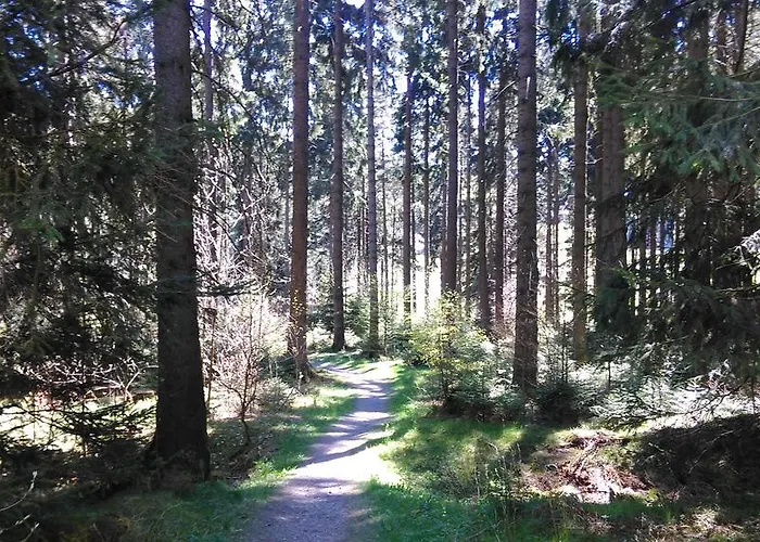 بيت للعطل Haus Am Wilde Aar ميدهباخ